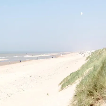 In With Sea Views * Wenduine