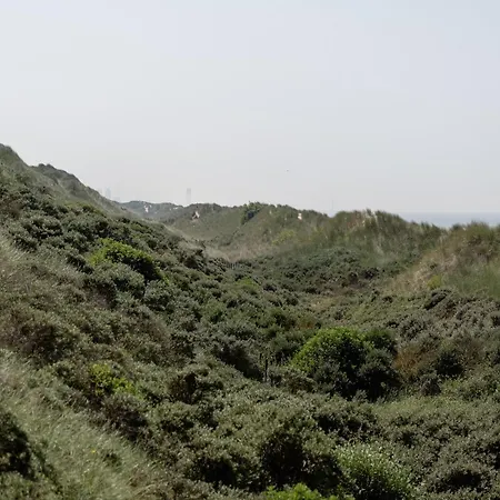In With Sea Views Apartment Wenduine